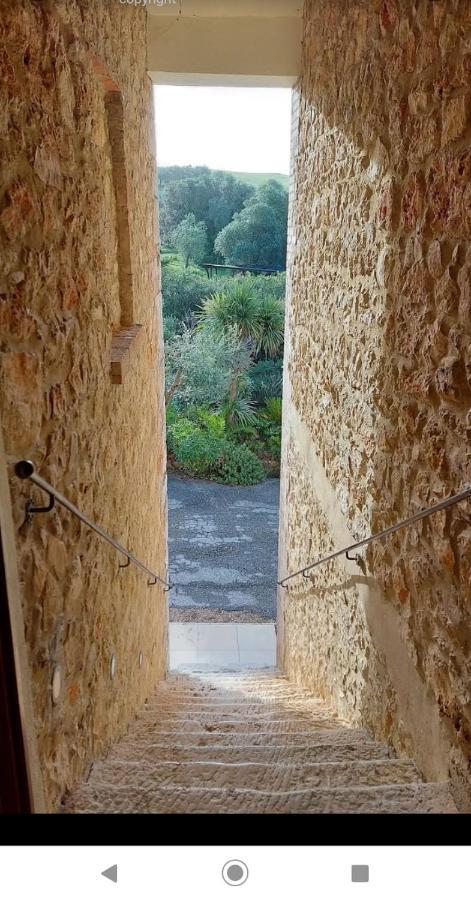 Case Cordovani Magliano in Toscana Ngoại thất bức ảnh