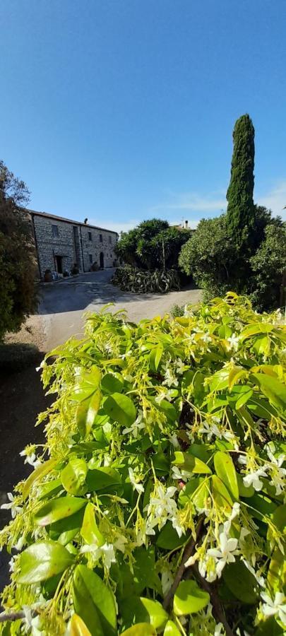 Case Cordovani Magliano in Toscana Ngoại thất bức ảnh