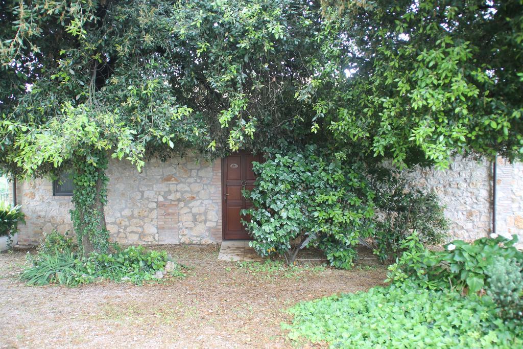 Case Cordovani Magliano in Toscana Ngoại thất bức ảnh
