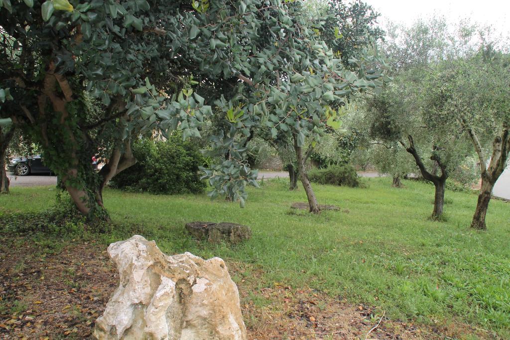 Case Cordovani Magliano in Toscana Ngoại thất bức ảnh